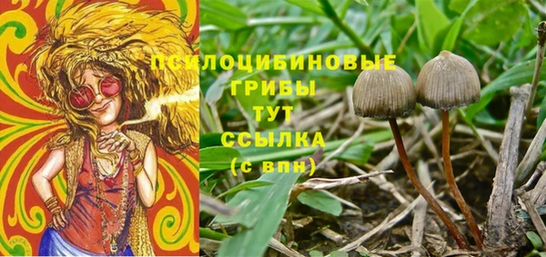 герыч Медвежьегорск