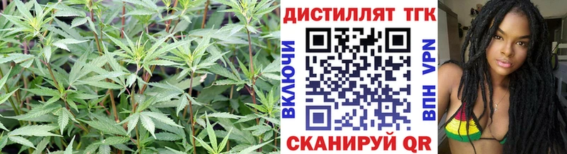 ТГК Wax  Купить  Новошахтинск 