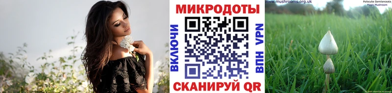 Купить где  Новошахтинск  Галлюциногенные грибы MAGIC MUSHROOMS 