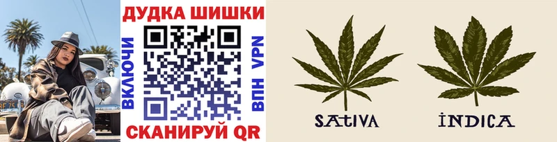 Каннабис Amnesia  Купить закладки  Новошахтинск 